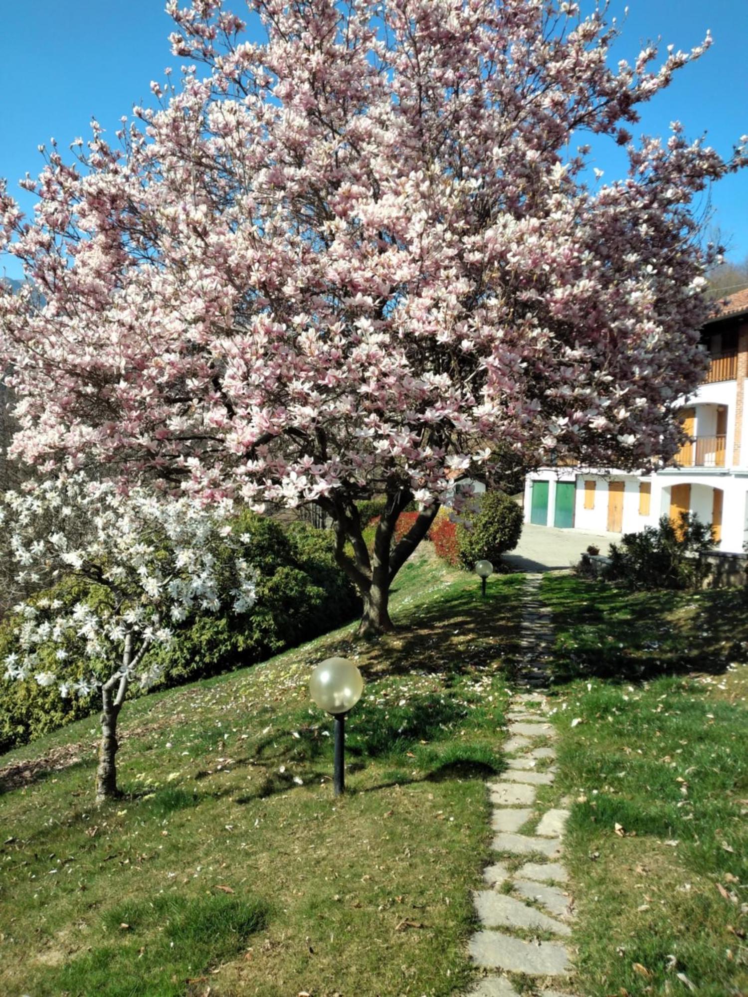 Appartamento A Due Passi Da Burcina Favaro Exterior photo